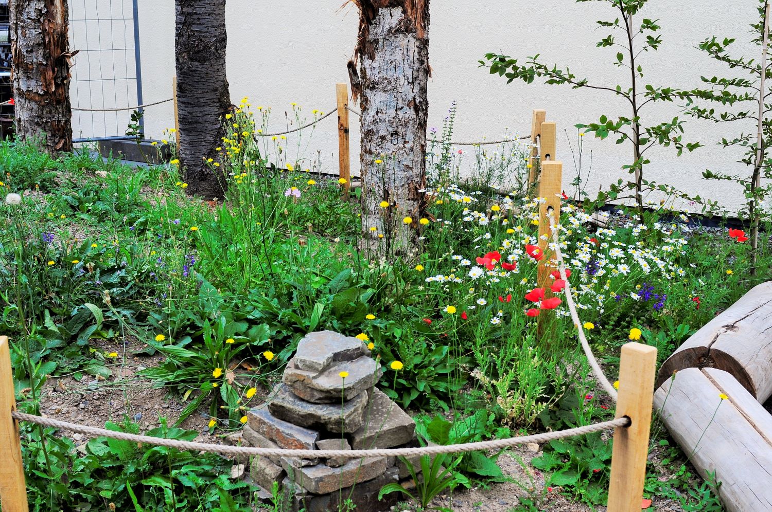 Sinzig fertiggestellter Park Sept 2025 Anke Wallraff Beck 5 web