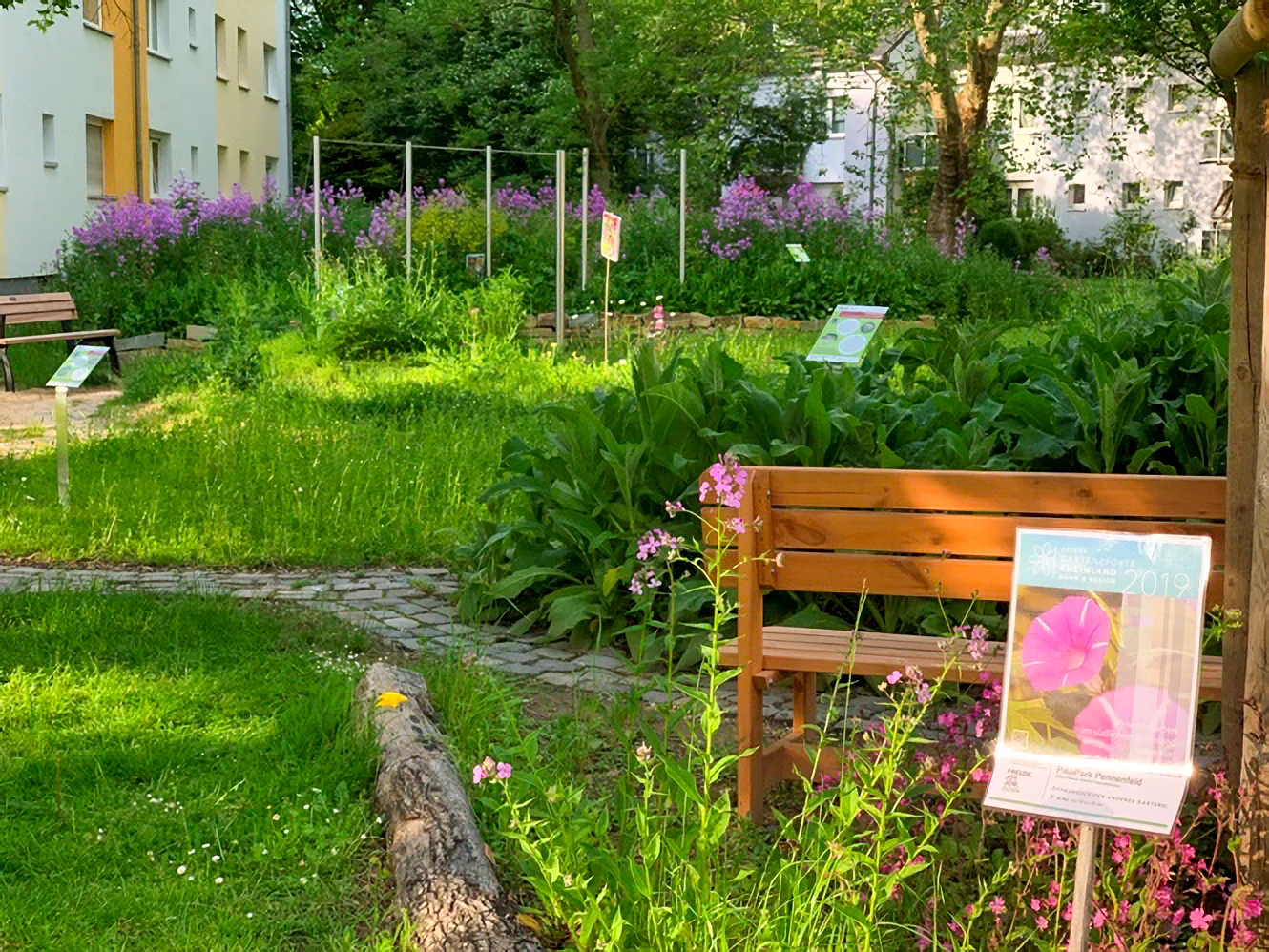 Blick in den saftig grünen und lila blühenden PikoPark Bonn-Pennenfeld. Im Vordergrund sieht man eine Sitzbank und ein Infoschild, welches auf den Tag der offenen Gartenpforte 2019 hinweist