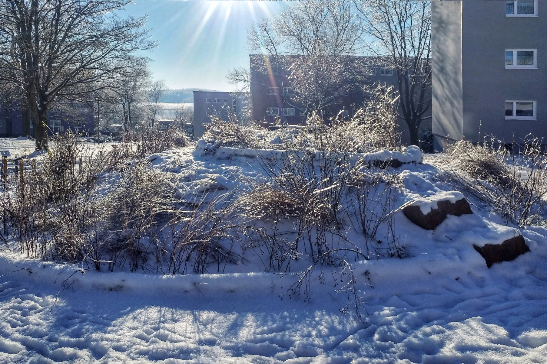 Blick auf einen voll verschneiten kleinen Hügel im PikoPark. Sonniges Wetter