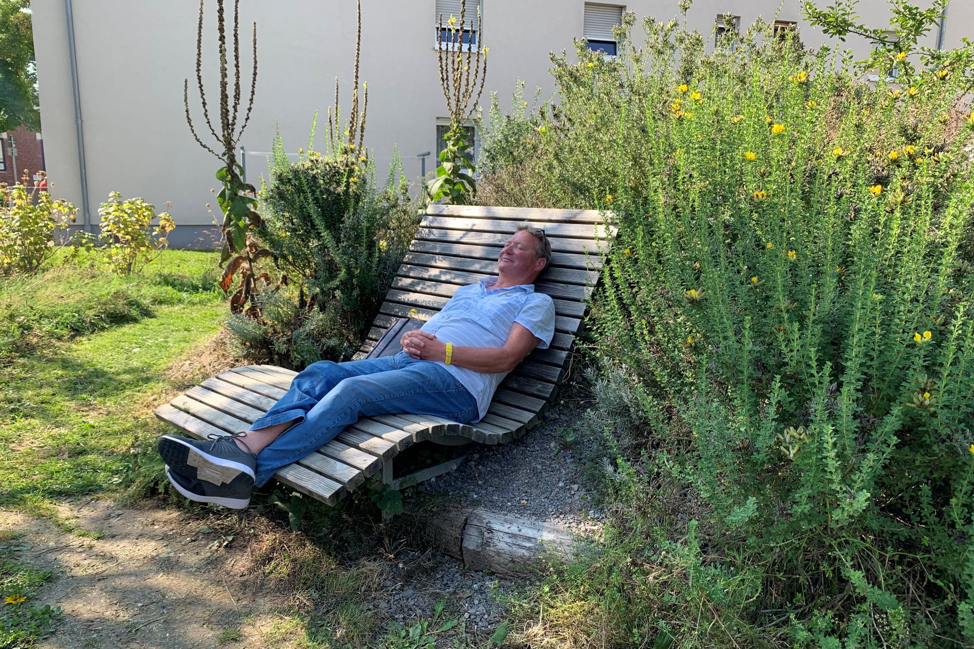 Ein Mann sitzt auf einer wellenartig geschwungene Bank, die sich am gelb blühenden Kalkschotterhügel befindet.