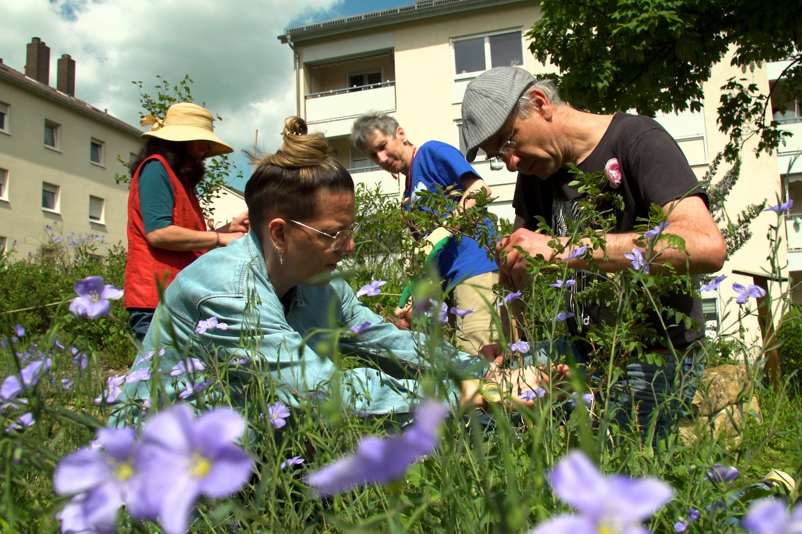 3 Frauen und ein Mann pflegen die Blumenwiese. Im Vordergrund viele lilablühende Blumen im Hintergrund 2 4 geschossige Wohnriegel