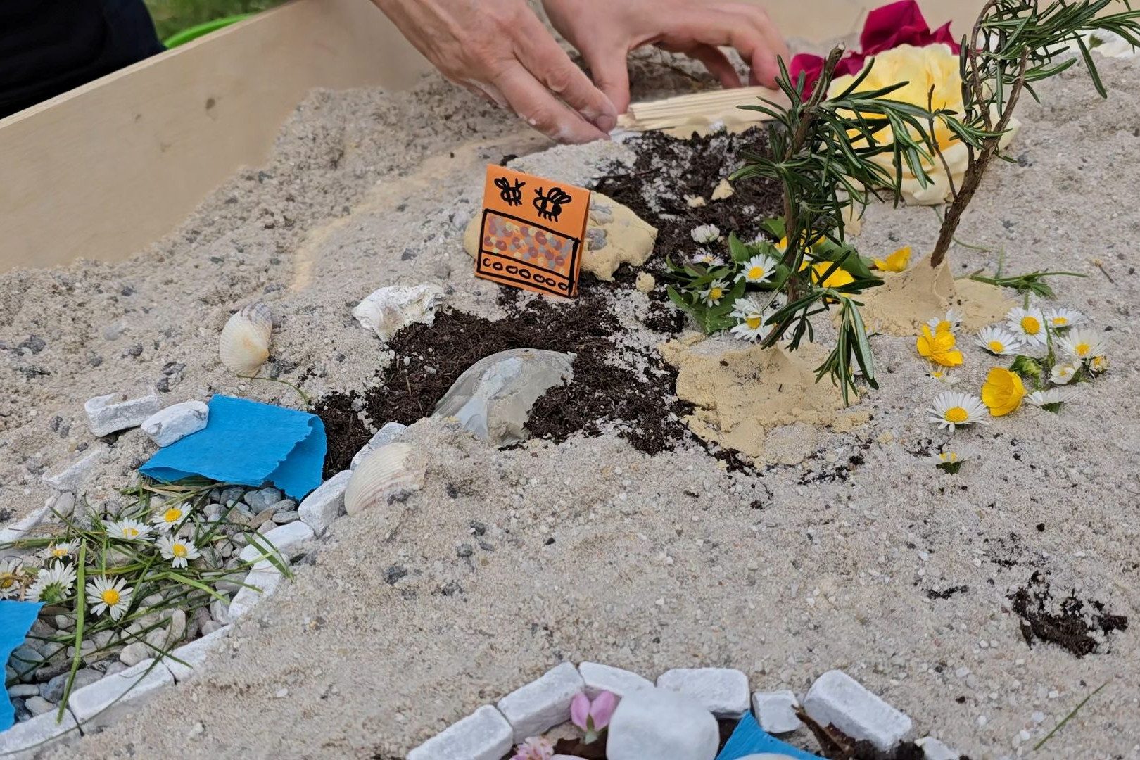 Ein mit Sand gefüllter Modellkasten in dem mit keinen Steinen und Blüten und Kräutern ein Modellpark gebaut wird