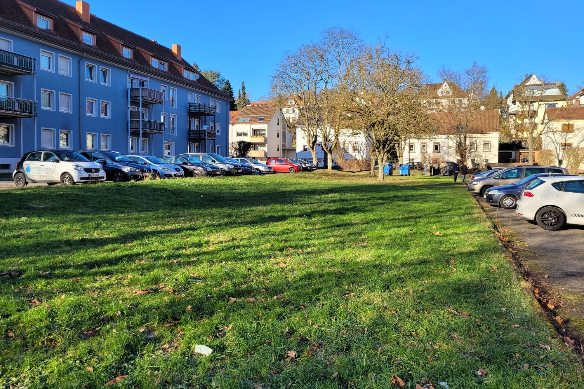 Blick auf grüne Grasfläche eingerahmt von parkenden Autos und Wohnriegel