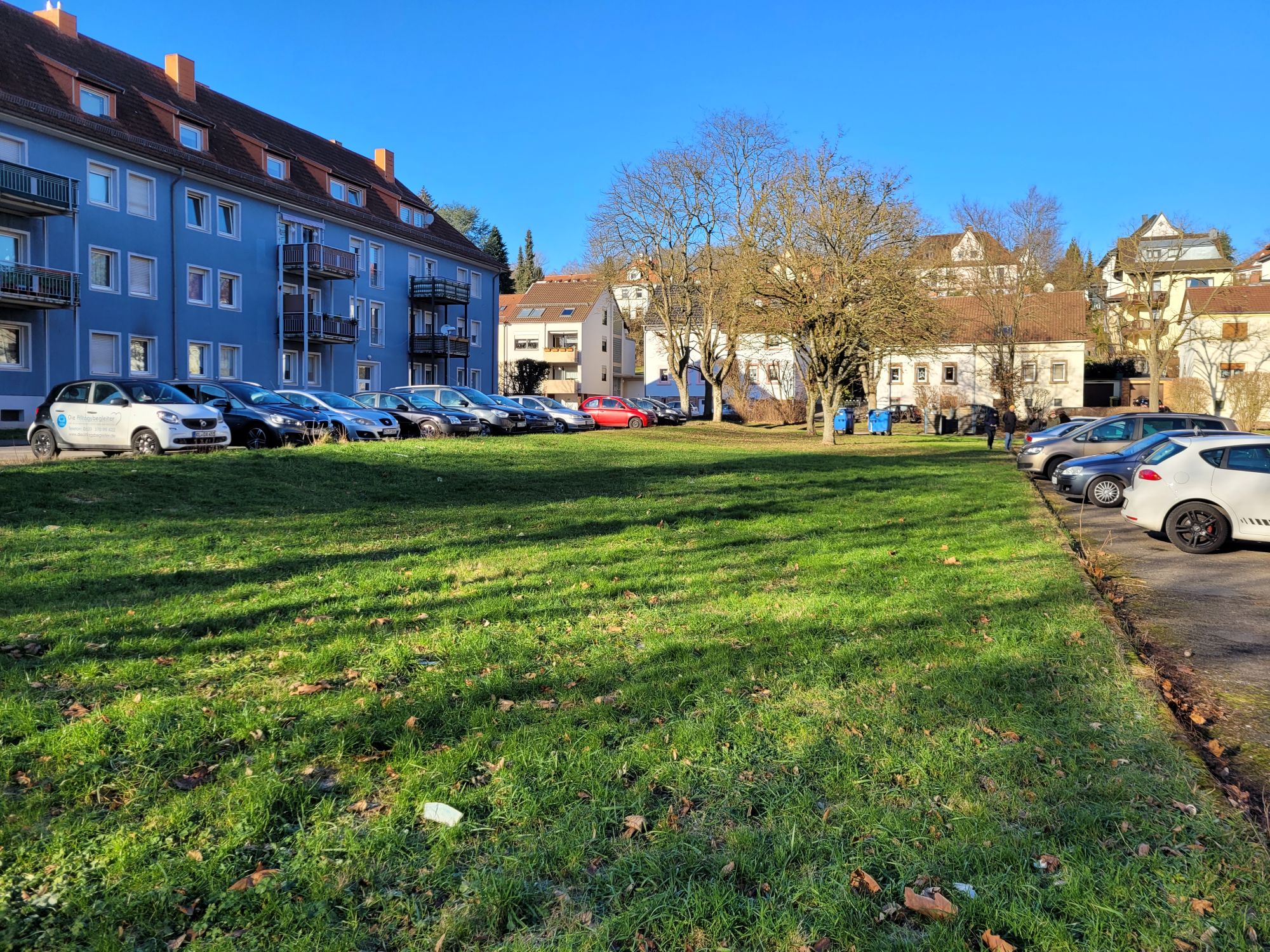 Blick auf grüne Grasfläche eingerahmt von parkenden Autos und Wohnriegel